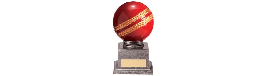 VALIANT LEGEND CRICKET AWARD - 115MM - 175MM